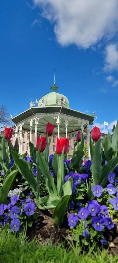 Byleilighet I Sjokanten M Terrasse Bergen Exteriér fotografie